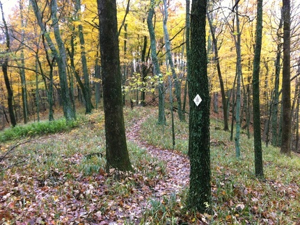 Sheltowee Trace, Clear Creek Furnace - 09